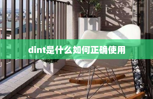 dint是什么如何正确使用