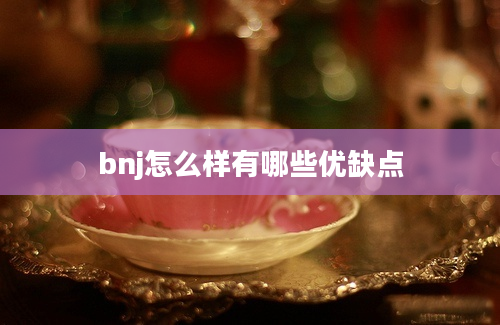 bnj怎么样有哪些优缺点