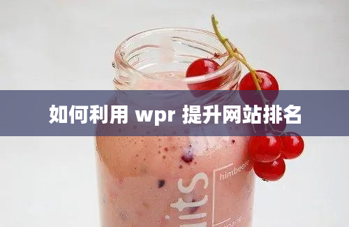 如何利用 wpr 提升网站排名