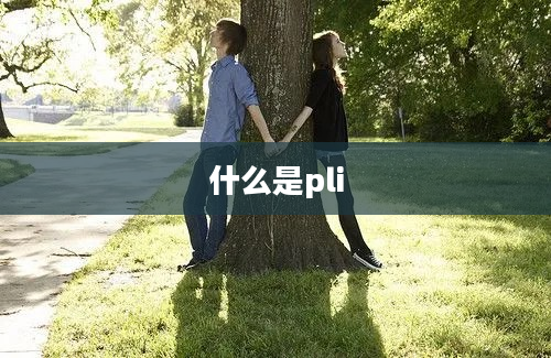 什么是pli