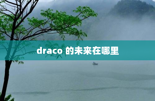 draco 的未来在哪里