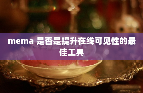 mema 是否是提升在线可见性的最佳工具