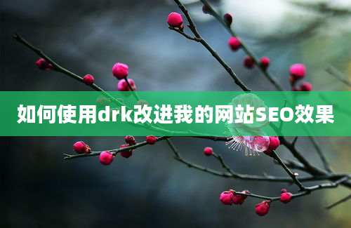 如何使用drk改进我的网站SEO效果