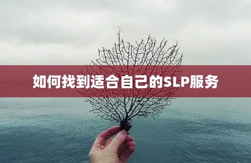 如何找到适合自己的SLP服务