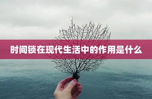 时间锁在现代生活中的作用是什么