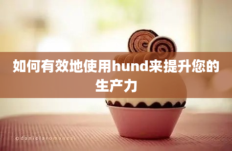 如何有效地使用hund来提升您的生产力