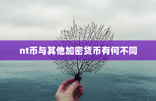 nt币与其他加密货币有何不同