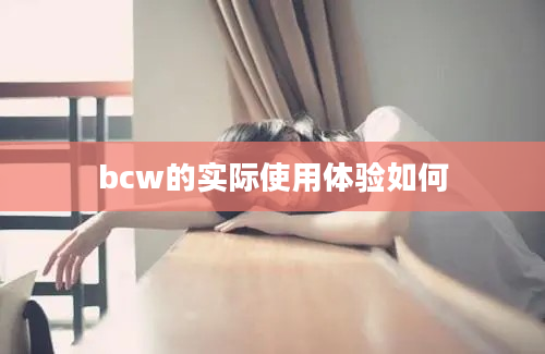 bcw的实际使用体验如何