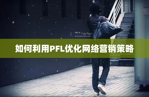 如何利用PFL优化网络营销策略