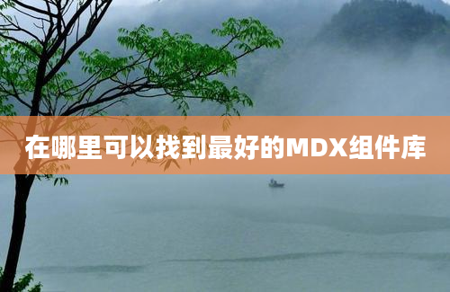 在哪里可以找到最好的MDX组件库