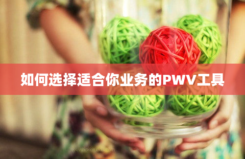 如何选择适合你业务的PWV工具