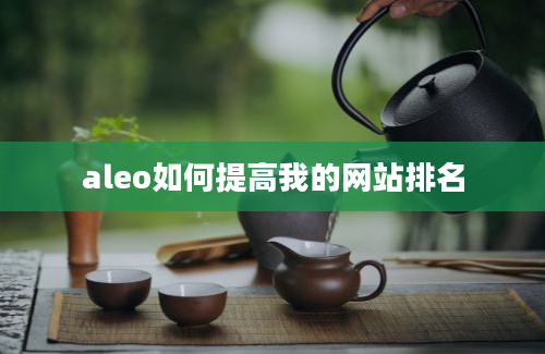 aleo如何提高我的网站排名