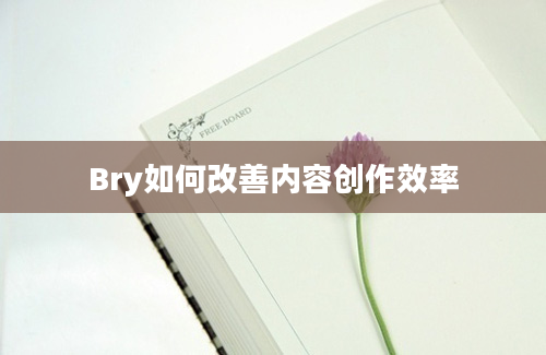 Bry如何改善内容创作效率