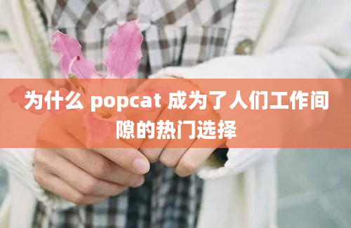 为什么 popcat 成为了人们工作间隙的热门选择