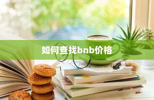 如何查找bnb价格