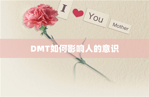 DMT如何影响人的意识