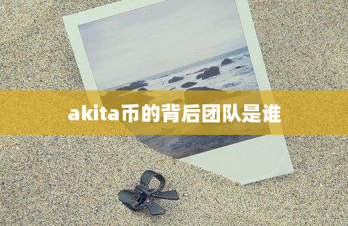 akita币的背后团队是谁