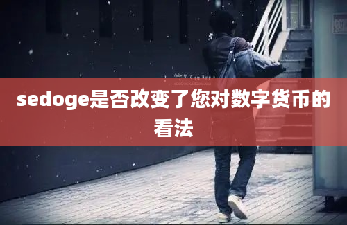 sedoge是否改变了您对数字货币的看法