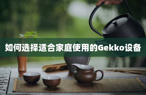 如何选择适合家庭使用的Gekko设备