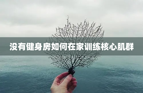 没有健身房如何在家训练核心肌群