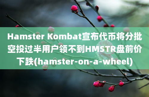 Hamster Kombat宣布代币将分批空投过半用户领不到HMSTR盘前价下跌(hamster-on-a-wheel)