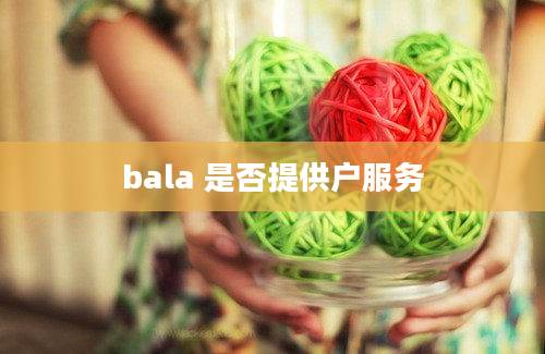 bala 是否提供户服务