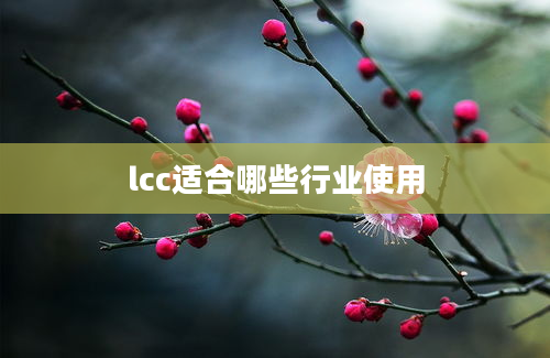 lcc适合哪些行业使用