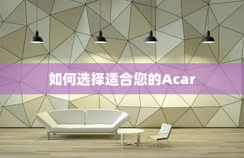 如何选择适合您的Acar