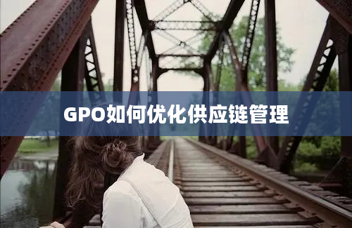 GPO如何优化供应链管理