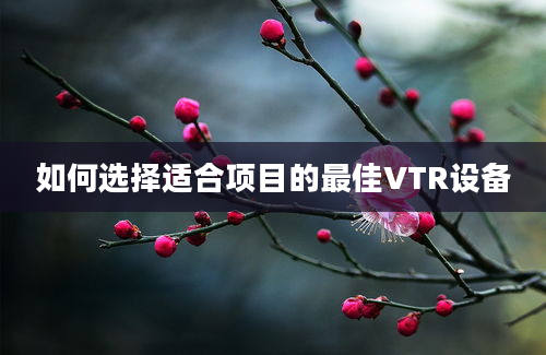 如何选择适合项目的最佳VTR设备