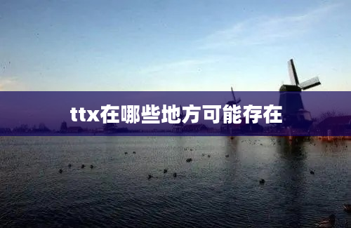 ttx在哪些地方可能存在