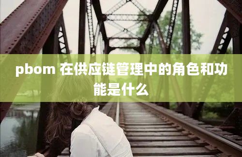 pbom 在供应链管理中的角色和功能是什么