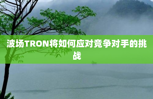 波场TRON将如何应对竞争对手的挑战