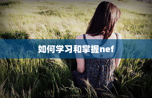 如何学习和掌握nef