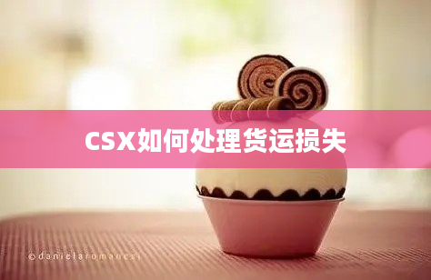 CSX如何处理货运损失