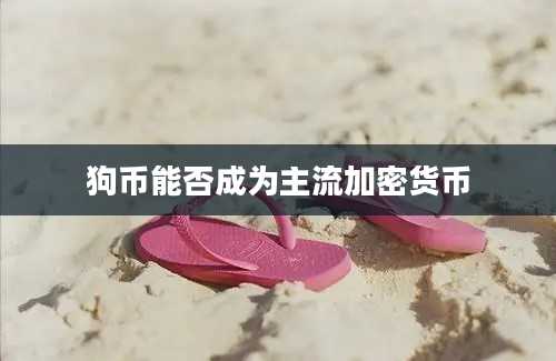 狗币能否成为主流加密货币