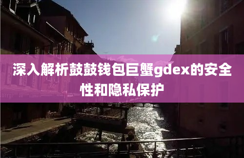 深入解析鼓鼓钱包巨蟹gdex的安全性和隐私保护