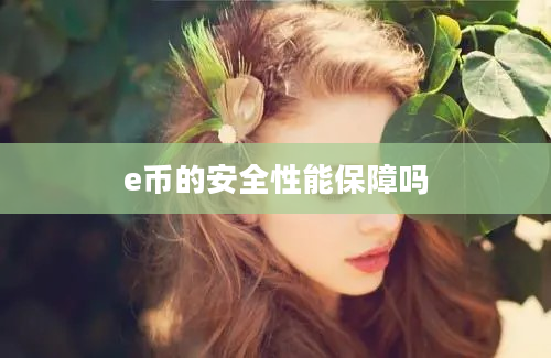 e币的安全性能保障吗