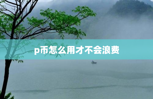 p币怎么用才不会浪费