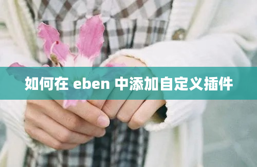 如何在 eben 中添加自定义插件