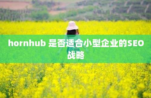 hornhub 是否适合小型企业的SEO战略