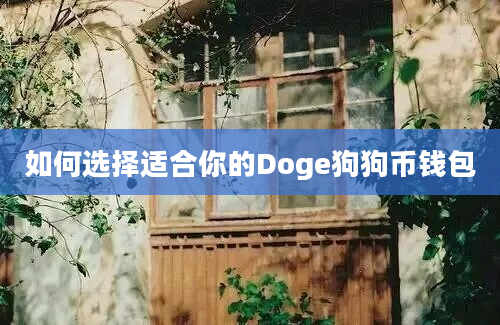 如何选择适合你的Doge狗狗币钱包