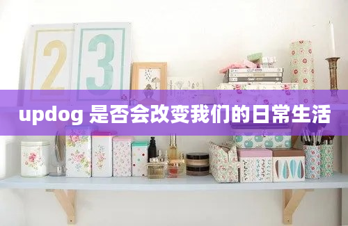 updog 是否会改变我们的日常生活