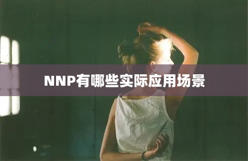 NNP有哪些实际应用场景