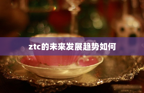 ztc的未来发展趋势如何