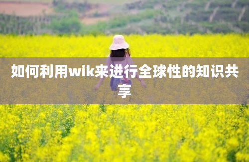 如何利用wik来进行全球性的知识共享