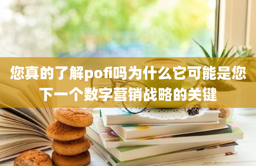 您真的了解pofi吗为什么它可能是您下一个数字营销战略的关键