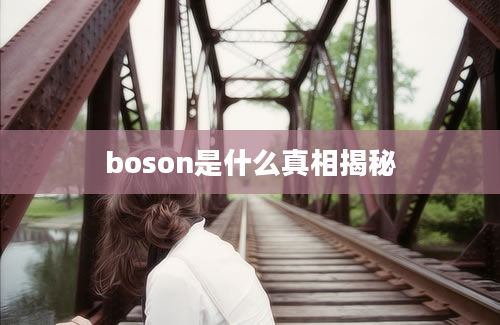 boson是什么真相揭秘