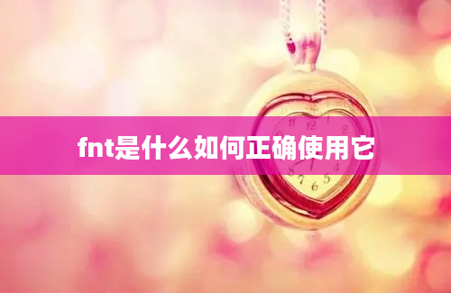 fnt是什么如何正确使用它