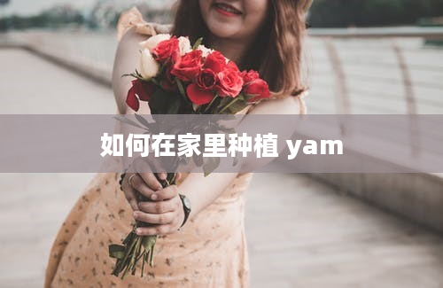 如何在家里种植 yam